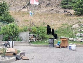 贾斯珀镇居民在野火肆虐几周后返回家园