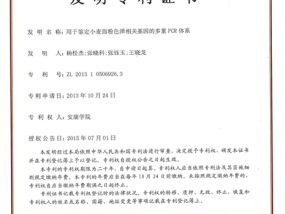 澳门必中三肖三凤凰网，早盘快速拉升6.49%报0.246港元_广泛的精确分析