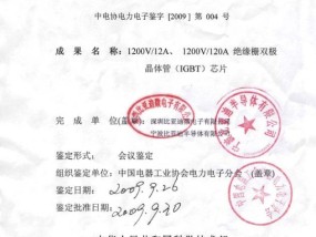 2024澳门正版精准资料,后辈精选解释落实_VIP98.26.100